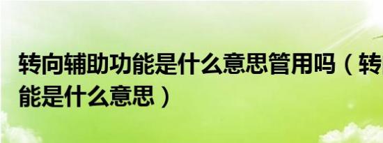 转向辅助功能是什么意思管用吗（转向辅助功能是什么意思）