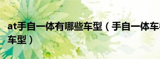 at手自一体有哪些车型（手自一体车都有哪些车型）