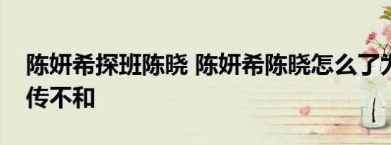 陈妍希探班陈晓 陈妍希陈晓怎么了为什么被传不和