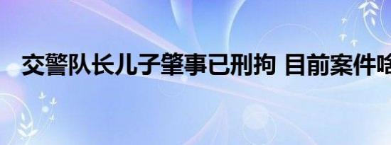 交警队长儿子肇事已刑拘 目前案件啥情况