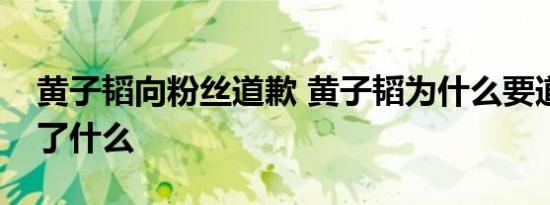 黄子韬向粉丝道歉 黄子韬为什么要道歉他说了什么