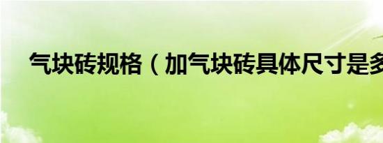 气块砖规格（加气块砖具体尺寸是多少）