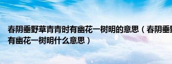 春阴垂野草青青时有幽花一树明的意思（春阴垂野草青青时有幽花一树明什么意思）