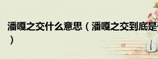 潘嘎之交什么意思（潘嘎之交到底是什么意思）