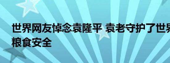 世界网友悼念袁隆平 袁老守护了世界人民的粮食安全