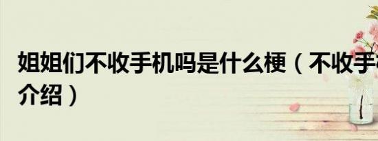 姐姐们不收手机吗是什么梗（不收手机吗原梗介绍）