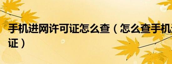 手机进网许可证怎么查（怎么查手机进网许可证）