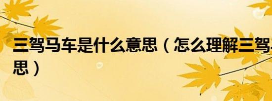 三驾马车是什么意思（怎么理解三驾马车的意思）