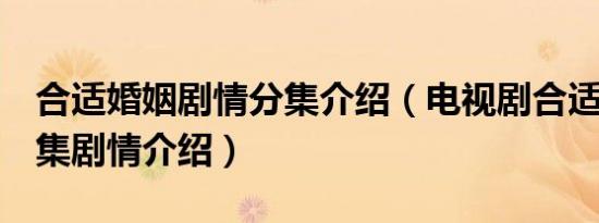 合适婚姻剧情分集介绍（电视剧合适婚姻1-5集剧情介绍）