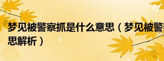 梦见被警察抓是什么意思（梦见被警察抓的意思解析）