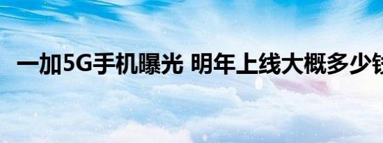 一加5G手机曝光 明年上线大概多少钱一台
