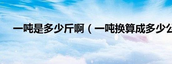 一吨是多少斤啊（一吨换算成多少公斤）
