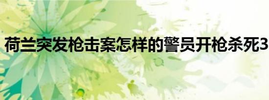 荷兰突发枪击案怎样的警员开枪杀死3名家人