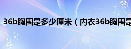 36b胸围是多少厘米（内衣36b胸围是多少）