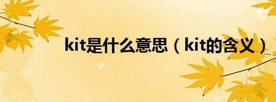 kit是什么意思（kit的含义）