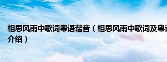 相思风雨中歌词粤语谐音（相思风雨中歌词及粤语谐音简单介绍）