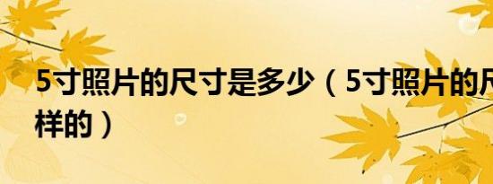 5寸照片的尺寸是多少（5寸照片的尺寸是怎样的）