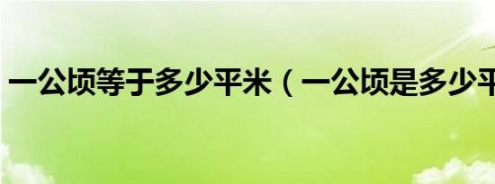 一公顷等于多少平米（一公顷是多少平方米）