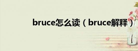 bruce怎么读（bruce解释）