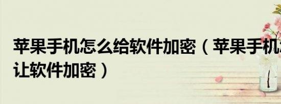 苹果手机怎么给软件加密（苹果手机怎么可以让软件加密）