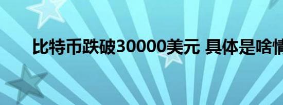 比特币跌破30000美元 具体是啥情况