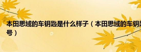 本田思域的车钥匙是什么样子（本田思域的车钥匙是什么型号）