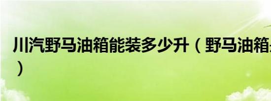 川汽野马油箱能装多少升（野马油箱是多少升）