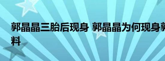 郭晶晶三胎后现身 郭晶晶为何现身郭晶晶资料