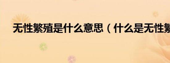 无性繁殖是什么意思（什么是无性繁殖）