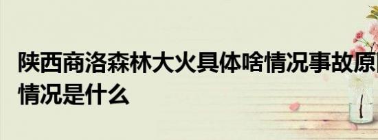 陕西商洛森林大火具体啥情况事故原因及伤亡情况是什么