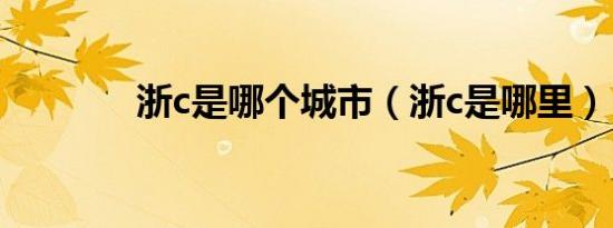 浙c是哪个城市（浙c是哪里）