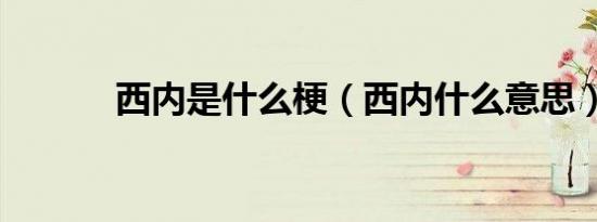 西内是什么梗（西内什么意思）
