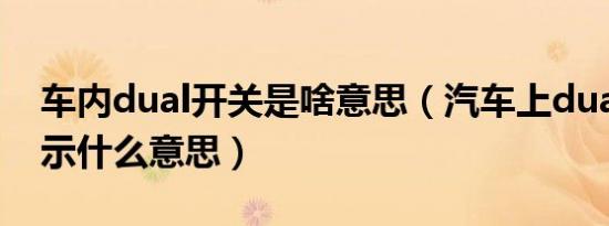 车内dual开关是啥意思（汽车上dual开关表示什么意思）