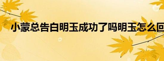 小蒙总告白明玉成功了吗明玉怎么回应的
