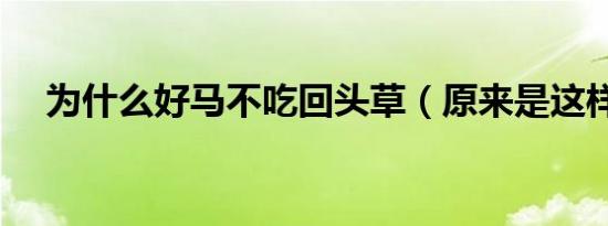 为什么好马不吃回头草（原来是这样的）
