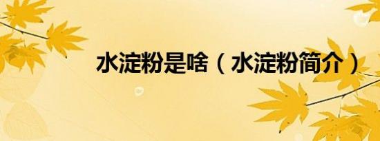 水淀粉是啥（水淀粉简介）