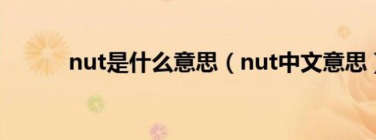 nut是什么意思（nut中文意思）