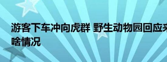 游客下车冲向虎群 野生动物园回应来了当时啥情况