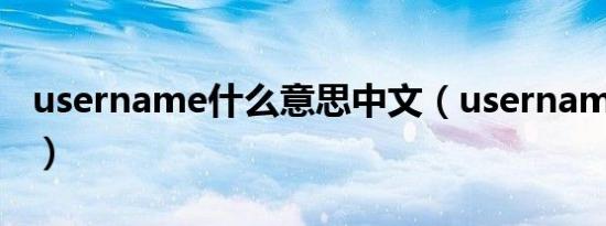 username什么意思中文（username的意思）
