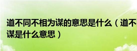 道不同不相为谋的意思是什么（道不同不相为谋是什么意思）