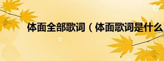 体面全部歌词（体面歌词是什么）