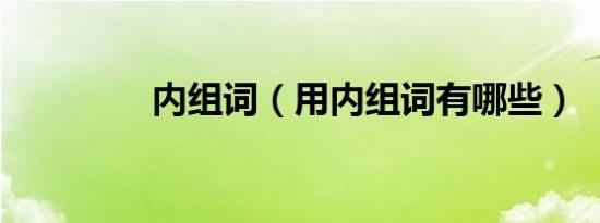 内组词（用内组词有哪些）