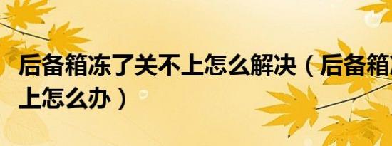 后备箱冻了关不上怎么解决（后备箱冻了关不上怎么办）