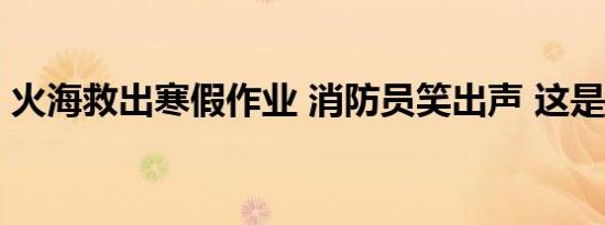 火海救出寒假作业 消防员笑出声 这是怎样的