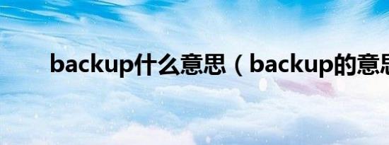 backup什么意思（backup的意思）