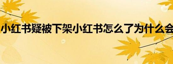 小红书疑被下架小红书怎么了为什么会被下架