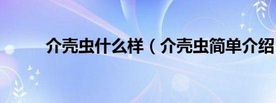 介壳虫什么样（介壳虫简单介绍）
