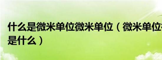 什么是微米单位微米单位（微米单位微米单位是什么）
