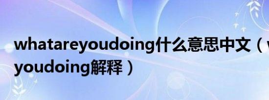 whatareyoudoing什么意思中文（whatareyoudoing解释）