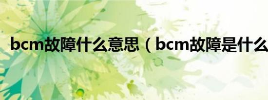 bcm故障什么意思（bcm故障是什么意思）